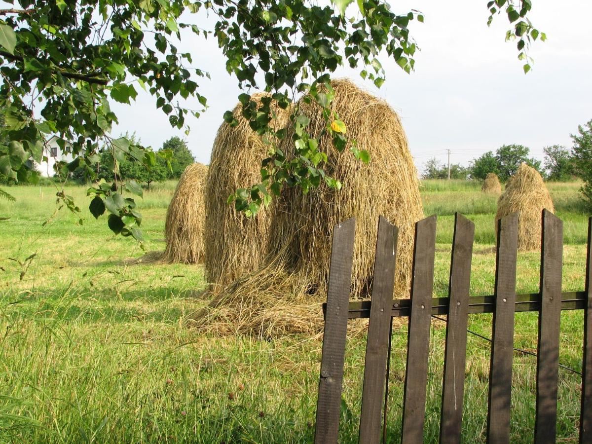 Willa Gospodarstwo Agroturystyczne U KRYSTYNY Krystyna Kurczab Limanowa Zewnętrze zdjęcie